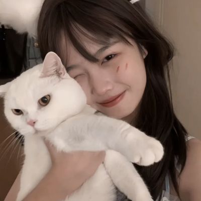 易次元深宫曲官方下载